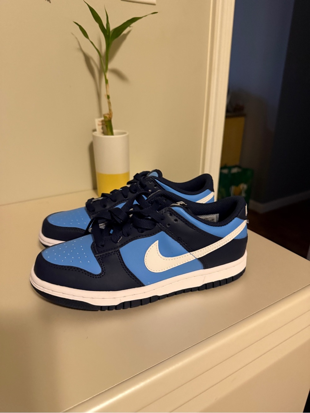 Nike Dunk University Blue
